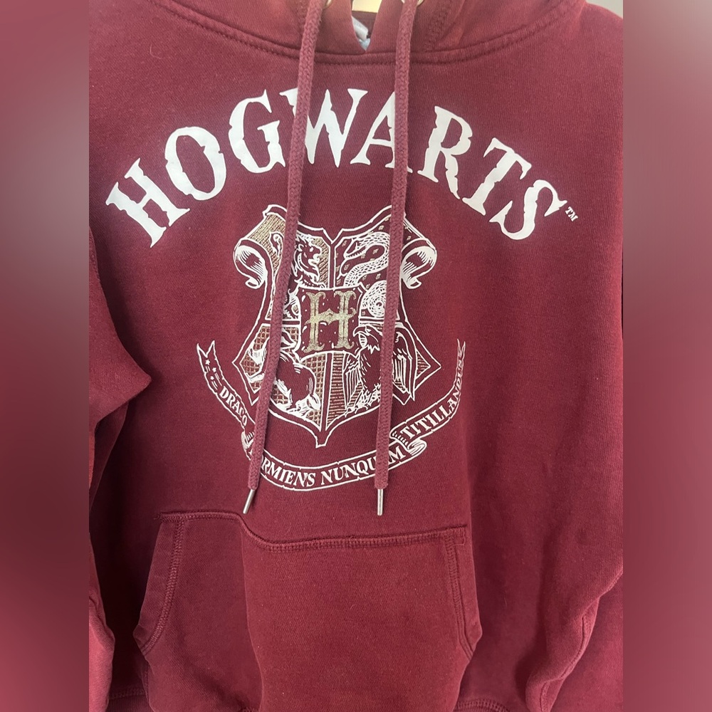 Harry Potter Hoodie